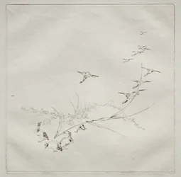 Parisian Service (Haviland service): Rett i solen (nr. 9)