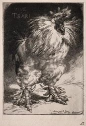 Den franske hanen, 1893.