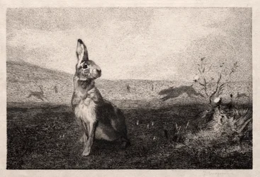 Haren etter A. de Balleroy, 1865.