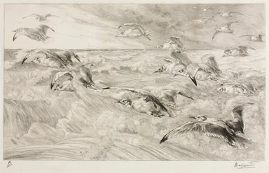 Måkene, ca. 1880.