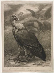 Gribb, 1904