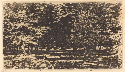 skog
