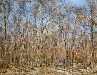 Bøkeskog, 1885-1894 .