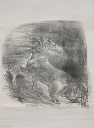 The Wild Horse, eller Frightened Horse Leaving the Water, 1828.