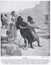 Fiske, illustrasjon fra 