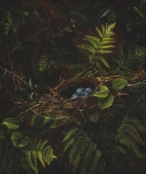 Fugleredet og bregner, 1863