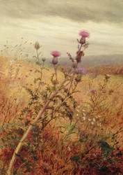 Thistle in a Field, 1875