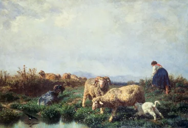 Besetninger