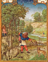 Fol.11v November måned: Høsting av eikenøtter for grisene og jakt, fra Breviarium Grimani, ca. 1515
