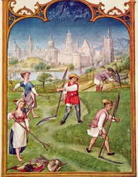 Fol 6v Juni måned: Høsting, fra Breviarium Grimani, ca. 1515