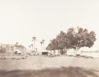 Korósko, Sycomores and Campment of a Caravan for Sennâr, 1851-52, trykt 1853-54.