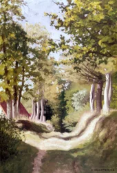 underskog