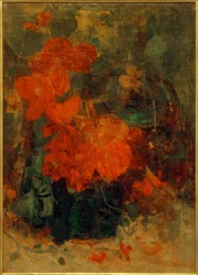 Begonia og nasturtiums