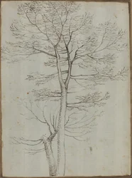 Bare tre [verso]