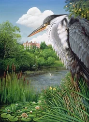 Herons at Chilham, 1986 (olje og tempera på panel)