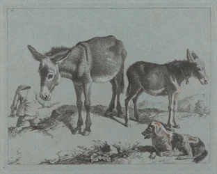 Esel med føllet sitt, en hund og en bondemann
