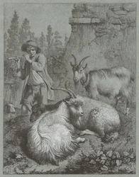 Hyrde som spiller på fløyte med geiter, 1764.
