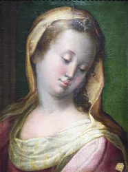Madonnas hode (olje på lerret)