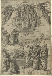 The Assumption of the Virgin, ca. 1495.