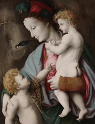 Madonna og barn med St. John, ca. 1525 (olje på panel)