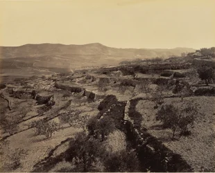 Betlehem - Gjetermarken
