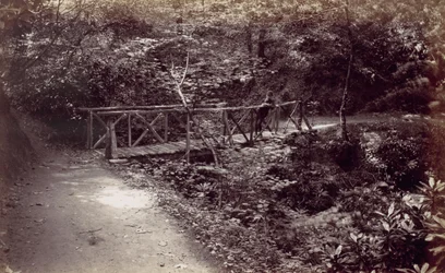 Colwyn Bay. Rustikk bro i skogen, 1870-tallet.