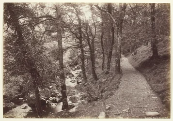 Dolgelley, View in Torrent Walk, 186094.