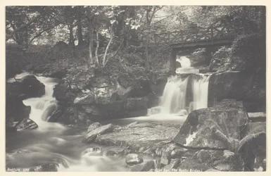 Glen Lyn, den rustikke broen, 186094.