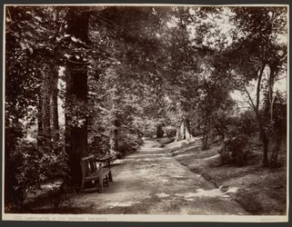 Leamington, i Jephson-hagene