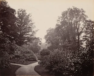 Sti i Alexandra Park