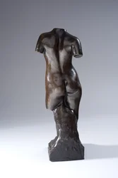 Torso