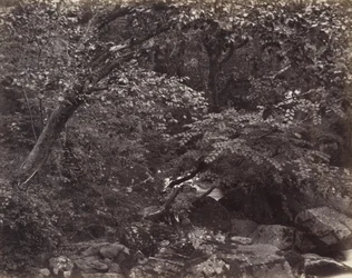 Glen i Lynmouth, 1860-årene