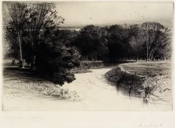 En solnedgang i Irland, 1863