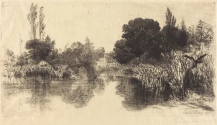 Shere Mill Pond (den større platen)