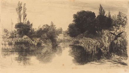 Shere Mill Pond (den større platen)