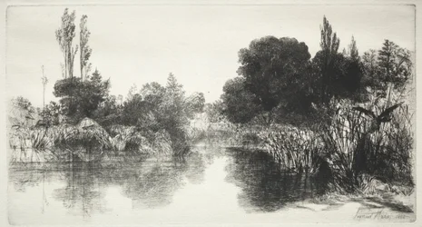 Shere Mill Pond (den større platen)