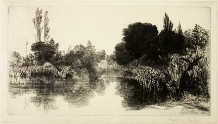 Shere Mill Pond, nr. II (stor plate)