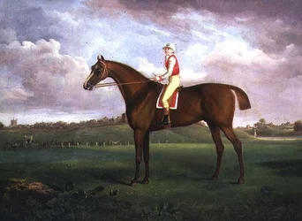 Jockey opp