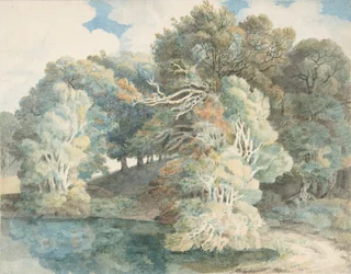 Trær ved innsjøen, Peamore Park, nær Exeter, Devon, 1790-1810.
