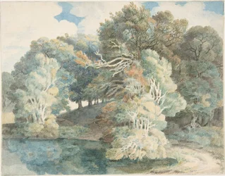 Trær ved innsjøen, Peamore Park, nær Exeter, Devon