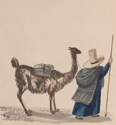 En kvinne som går med en lama, fra en gruppe tegninger som viser peruansk kostyme, ca. 1848.