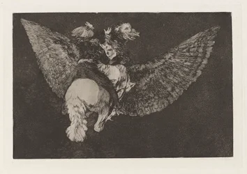 Tull-flyer (Flying Folly), også kjent som Renounce the Friend Who Covers You with his Wings and Bites You with his Beak, fra serien Los disparates (Los proverbios)