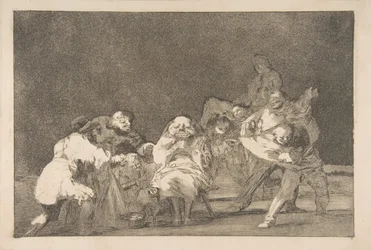 Plate 17 fra 