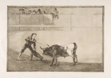 Plate 30 av Tauromachia: Peter Rosemary dreper den stansede oksen.,