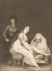 Plate 31 fra 