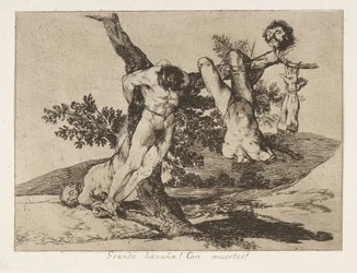 Plate 39 fra 