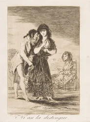Plate 7 fra 