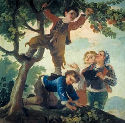 Gutter plukker frukt