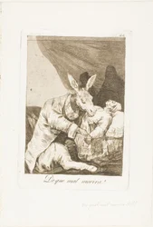 Hvilket sykt vil han dø av?, plate 40 fra Los Caprichos