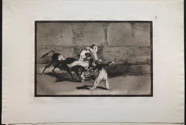 Tyrefekting: En maurer stanget av en okse på arenaen, 1876.